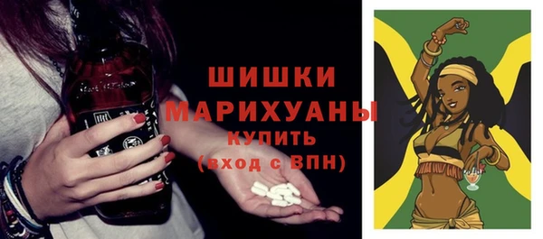 ПСИЛОЦИБИНОВЫЕ ГРИБЫ Белокуриха