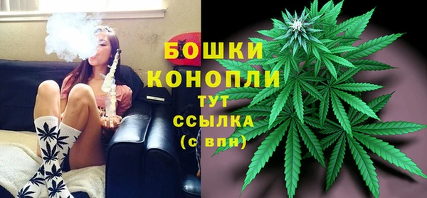 ПСИЛОЦИБИНОВЫЕ ГРИБЫ Белокуриха