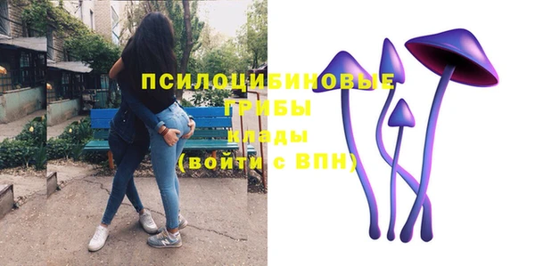 ПСИЛОЦИБИНОВЫЕ ГРИБЫ Белокуриха
