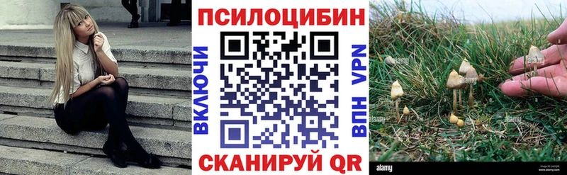Галлюциногенные грибы Cubensis  площадка состав  блэк спрут вход  Воскресенск  что такое  